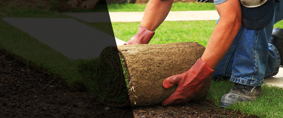 Pleasant View Landscapers